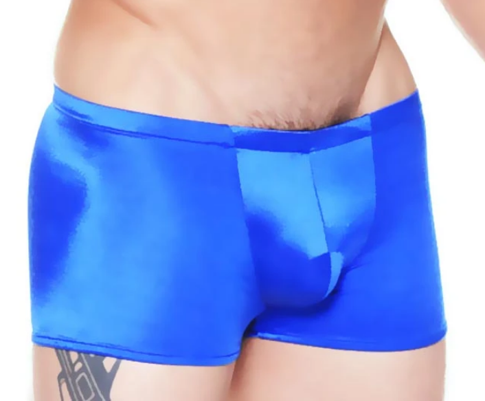 Mens brief underwear