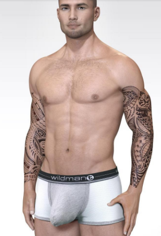 Mens Brief Underwear