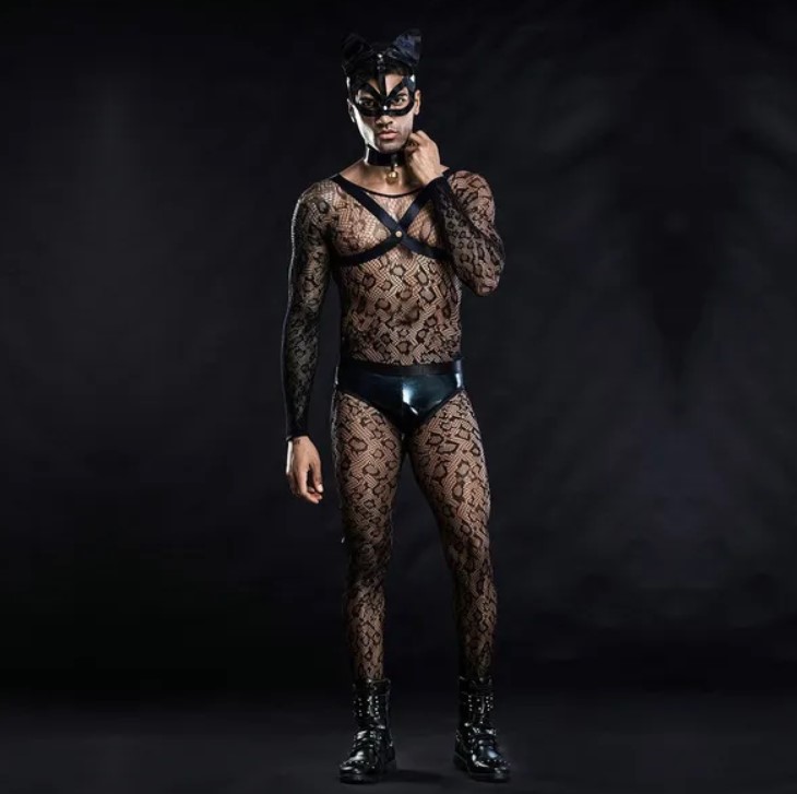 Sexy Costumes for Men Cat Man Costumes Cosplay Outfit See Through Mesh Bodysuit - Halloween Facts