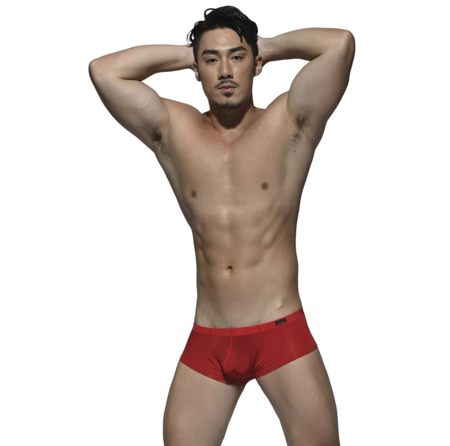 Private Structure DGEMU3487BT Desire Glaze Hipster Boxer Brief Color Red
