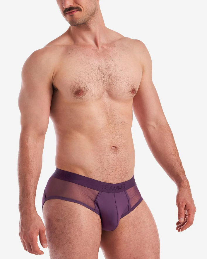 SCORE SHEER BRIEF - PLUM PURPLE
